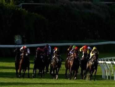 The Cox Plate takes place at Moonee Valley on Saturday